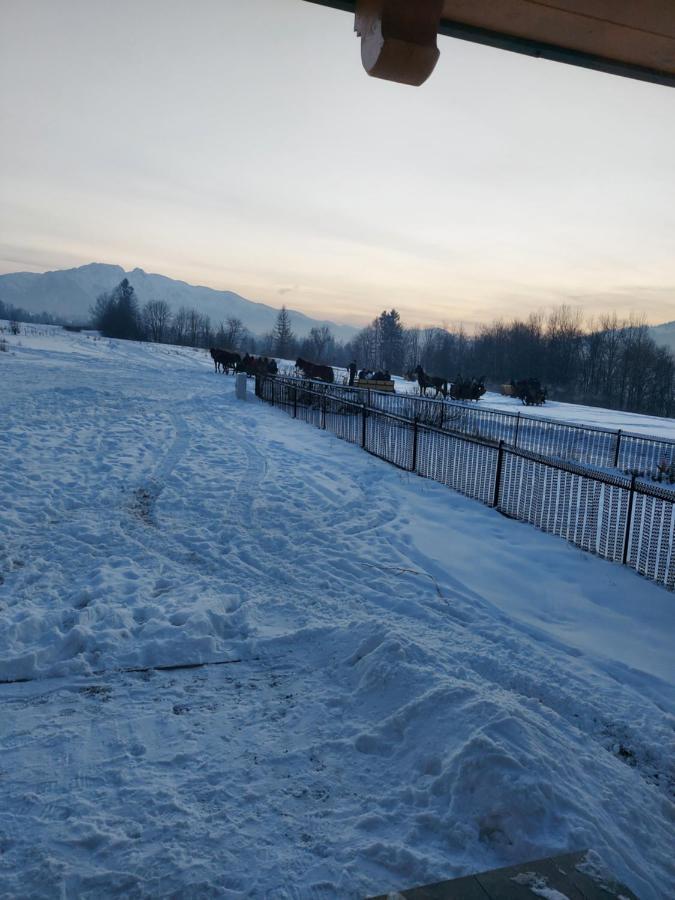 Domek Zakopane Tatrzanski Kacik Apartzakop Экстерьер фото