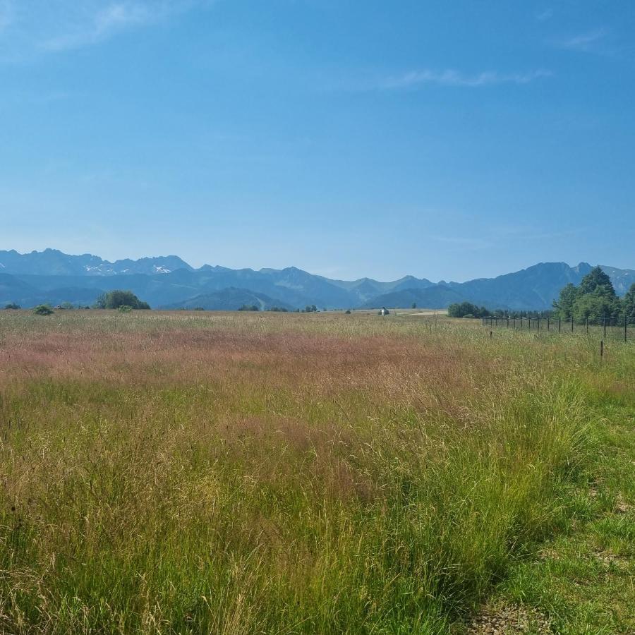 Domek Zakopane Tatrzanski Kacik Apartzakop Экстерьер фото